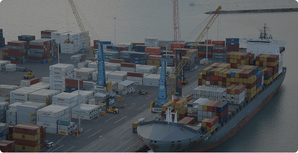 Customs & Trade Compliance